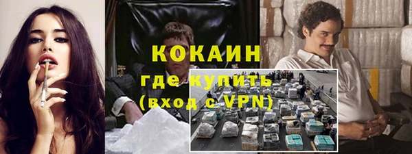 дживик Арсеньев