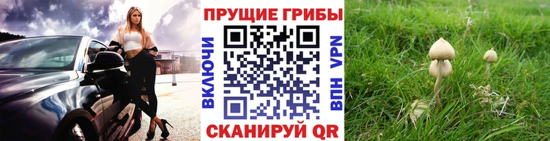 мега маркетплейс  Белебей  Галлюциногенные грибы GOLDEN TEACHER  как найти наркотики 