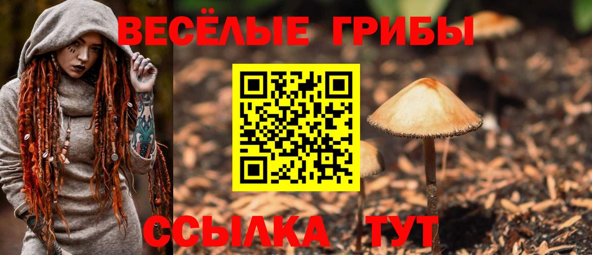 Галлюциногенные грибы мицелий  Галлюциногенные грибы прущие грибы  Белебей  Вход с VPN 